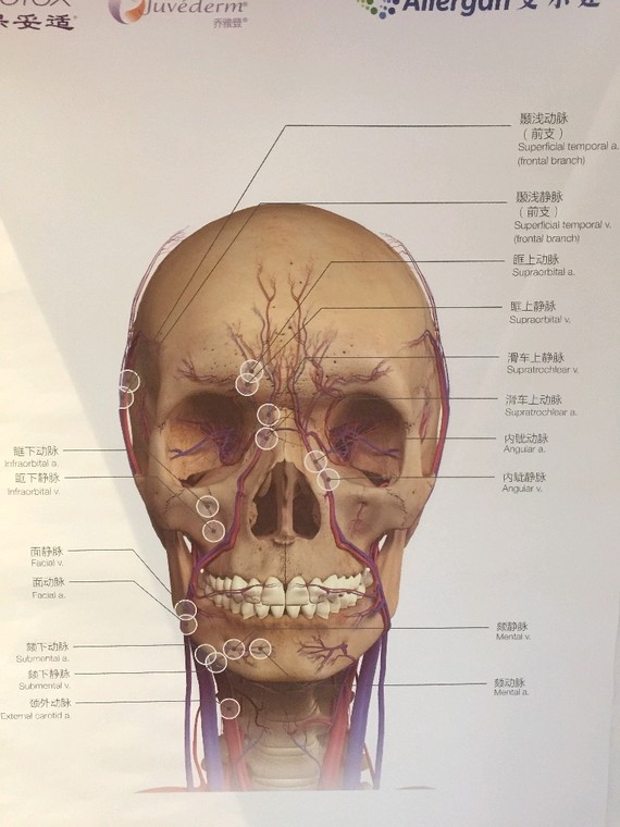 我们人体的面部是有21块肌肉,17处动脉血管,医生_圈子