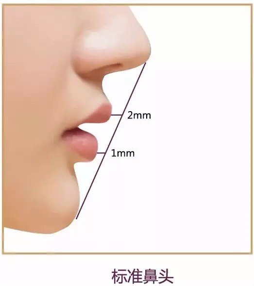 标准的鼻头应该是侧面鼻头与下巴连成线时,上嘴唇相差2毫米,下嘴唇