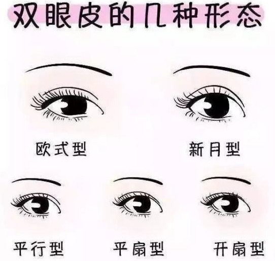 我知道双眼皮的形状有平行型,开扇型,新月型什么的,哪一种形状是做的