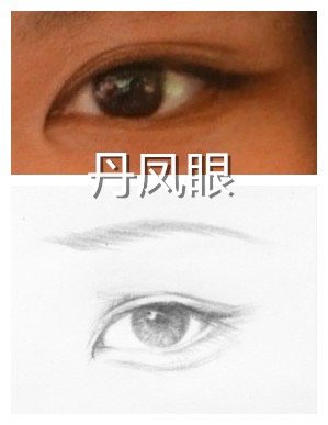 (丹凤眼配新月形双眼皮,所以姑娘只需稍加修饰即可)