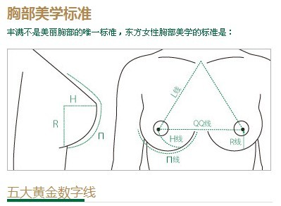 【胸部美学四标准 快来看看达标了吗?】