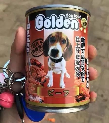 小奶狗千篇一律,但是你万里挑一一天上班的早