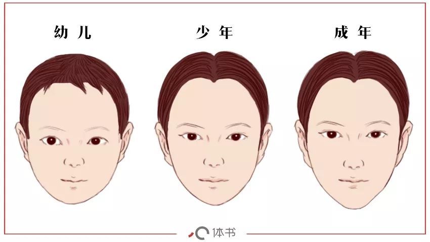 五官分散(看起来脸长),就显得成熟;五官集中,就显得年幼,也就是娃娃脸