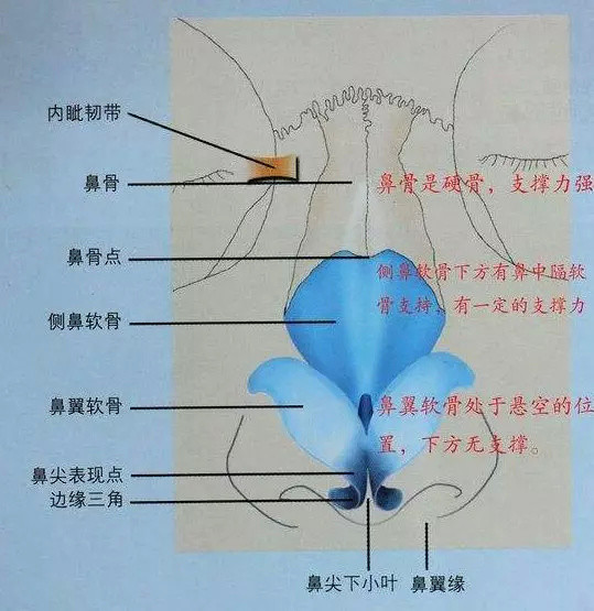 鼻骨是主要决定鼻梁高度的骨头,而软骨的作用较小,所以想通过