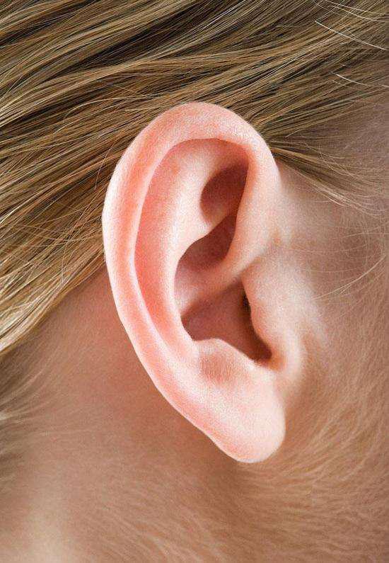 它不仅可以使耳朵的轮廓额更加清晰,对于立体感也有很大的提升,在市面
