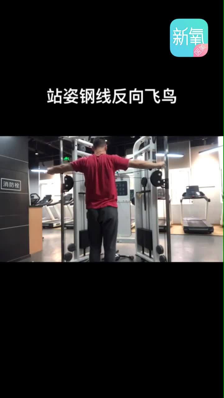 站姿钢线反向飞鸟训练目的增加三角肌后束肌力注意动作_圈子-新氧美容