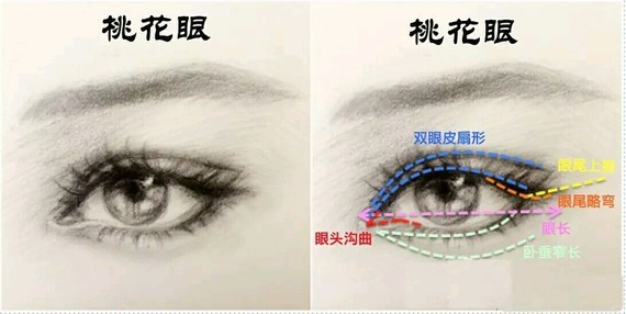 亚洲人典型的美丽双眸大致可以分为3种杏眼,桃花眼,丹