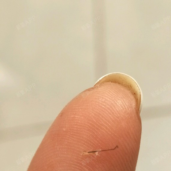 掉了一根毛囊十来块钱没了心疼