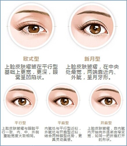 眼部