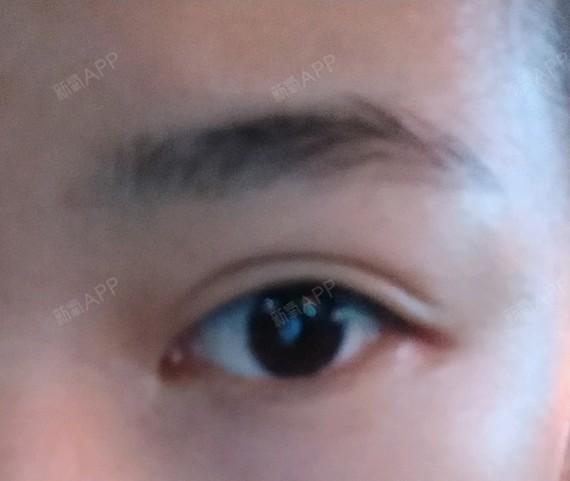 眼型自测你是属于哪种眼睛