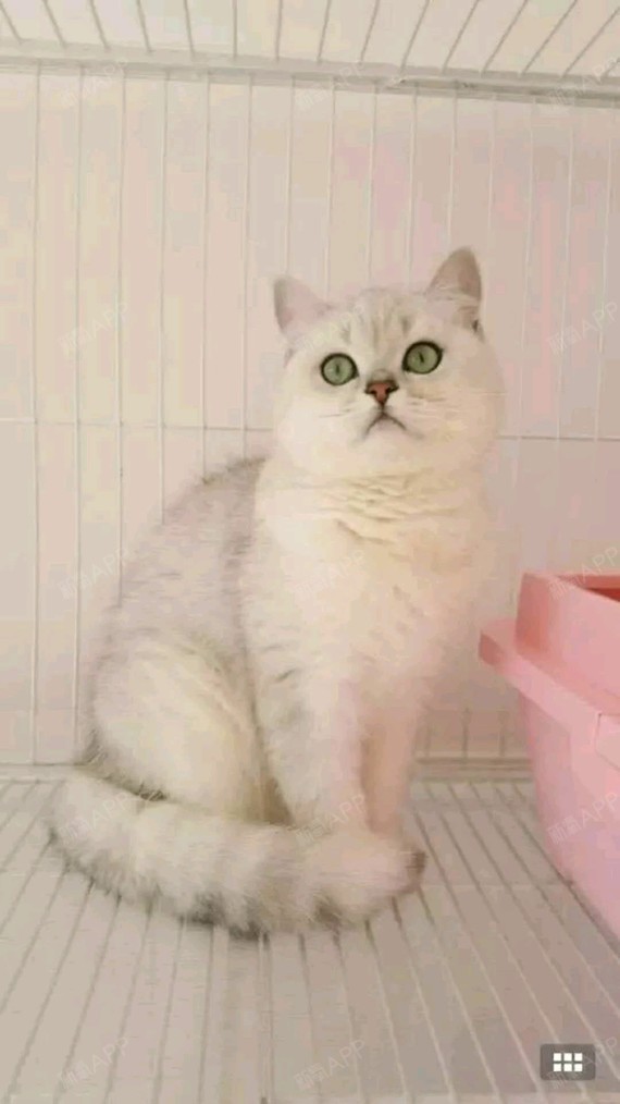 没有ooo美白针第138天美丽日记-新氧美容整形