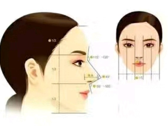 高挺的鼻子可以让脸型看起来更加的精致、完美
