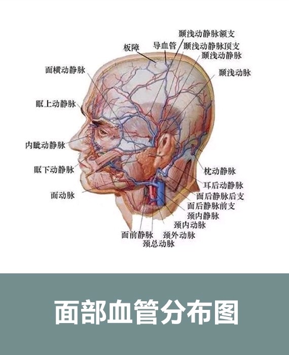 深入剖析下颌角整形手术_圈子-新氧