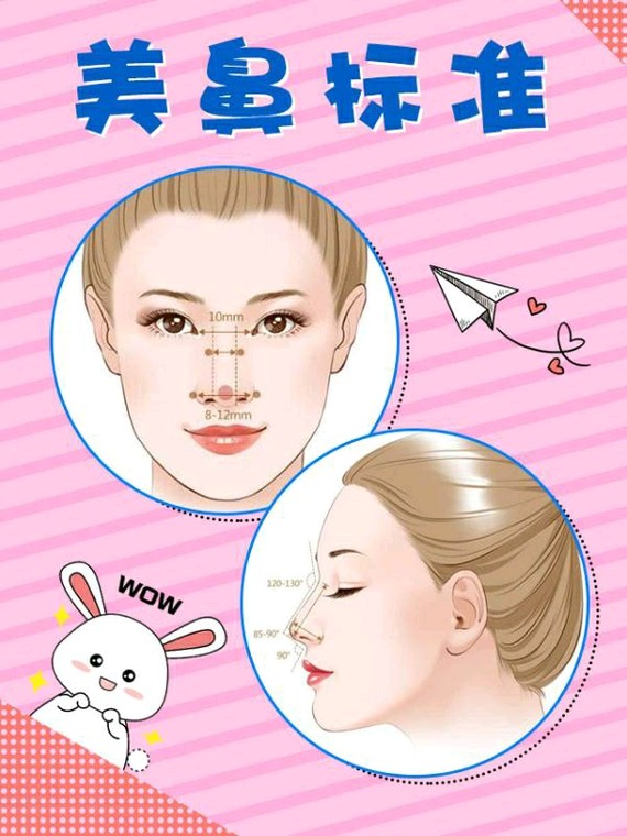 最新美鼻标准流出!符合要求的人长这样