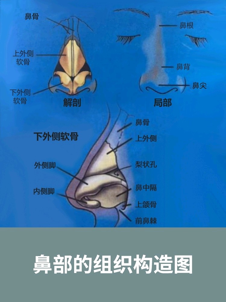 为什么我鼻梁明明很高,正面看却像条鱼