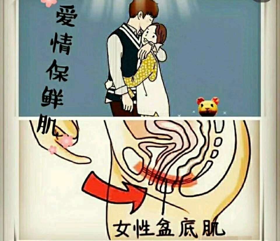爱情肌修复