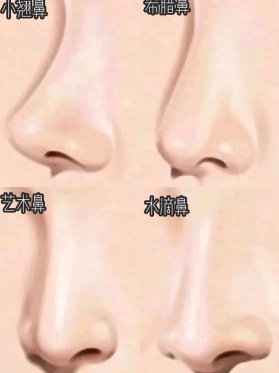 无数集美的隆鼻模版鼻子占据面