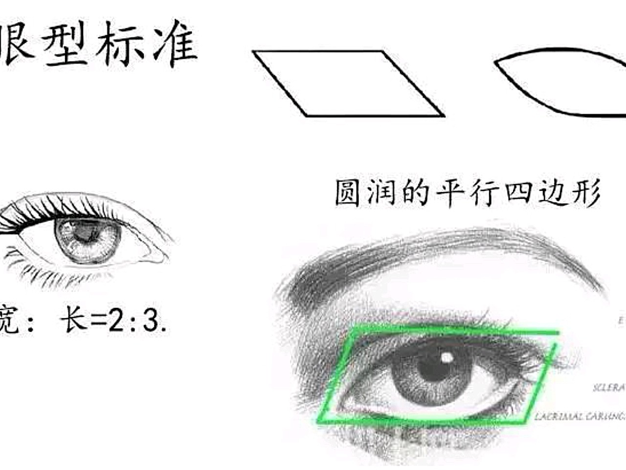 传说中的标准眼型,你知道多少呢?