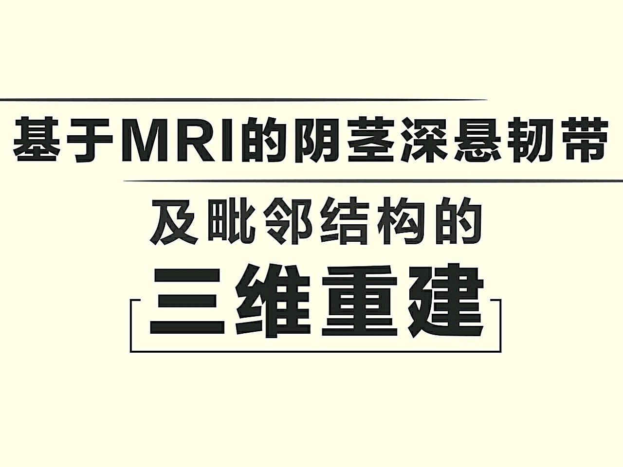 一端与耻骨联合纤维相延续,另一端止于阴茎海绵体脚汇