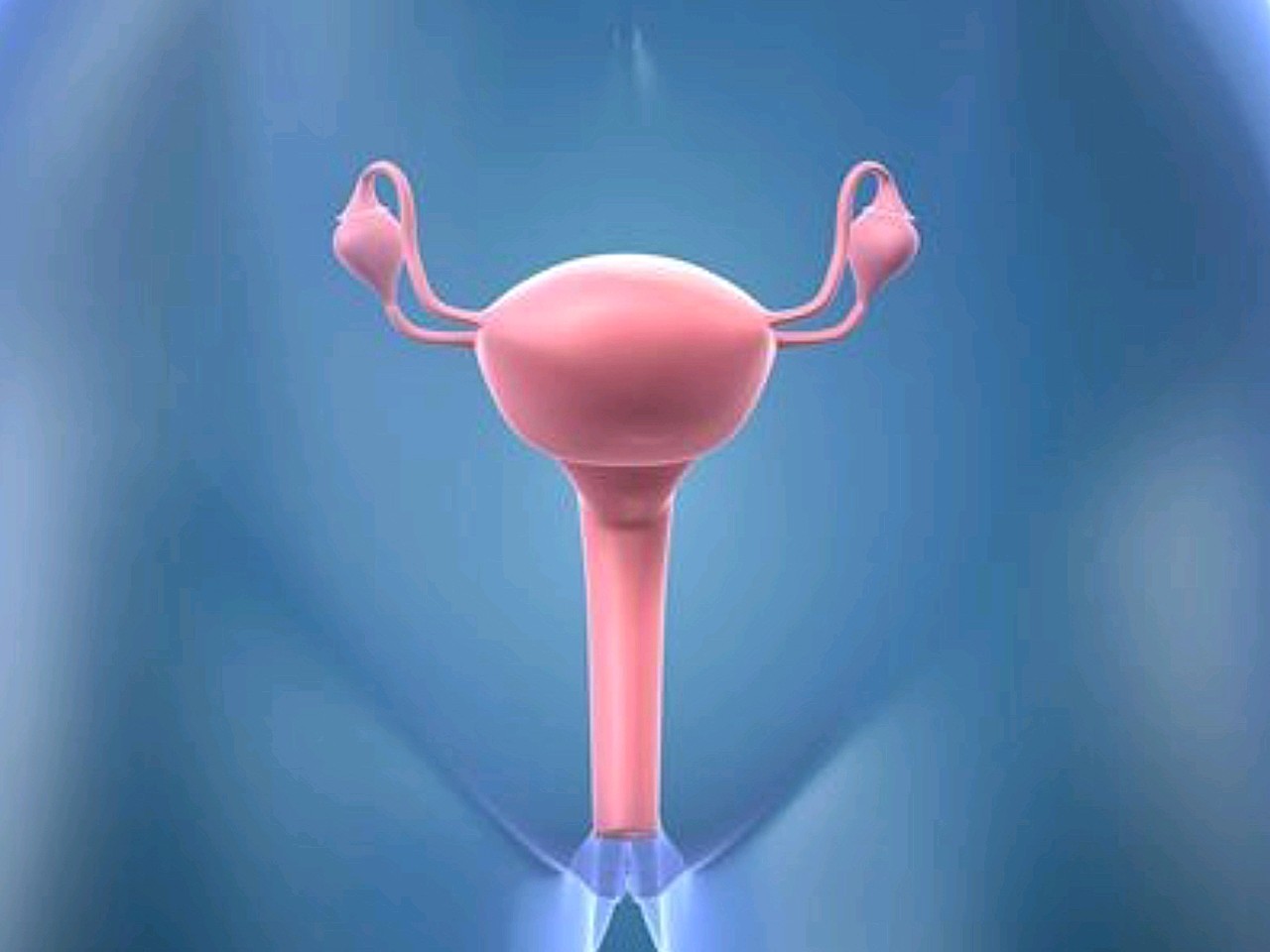 子宫从正常位置沿阴道下降,宫颈外口达坐骨棘水平以下_圈子-新氧美容