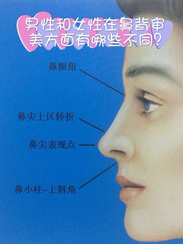 男性和女性在鼻背审美方面有哪些不同?