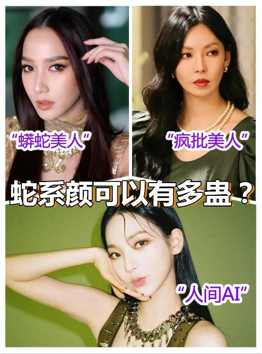 冷度爆表的蛇系颜吸引力max