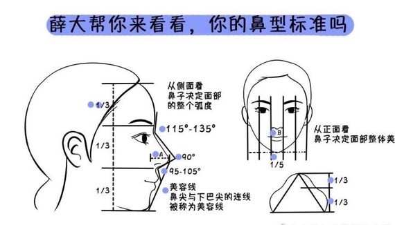 看图解判断你的鼻型标准吗