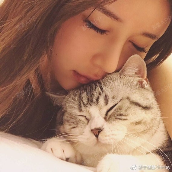 隆鼻用硅胶好还是膨体好?_圈子-新氧美容整形