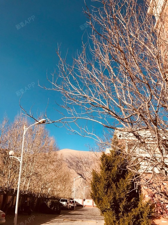 皮肤后天晒黑后,打美白针能永久变白吗?要打多