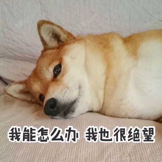 有知道新氧退款审核要多久的麻烦告诉我一下~