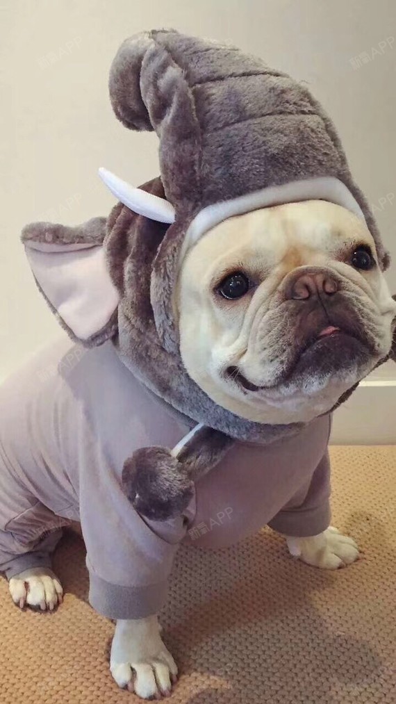 打完肉毒脸部下垂咋办,怎么样打完肉毒可以不下垂