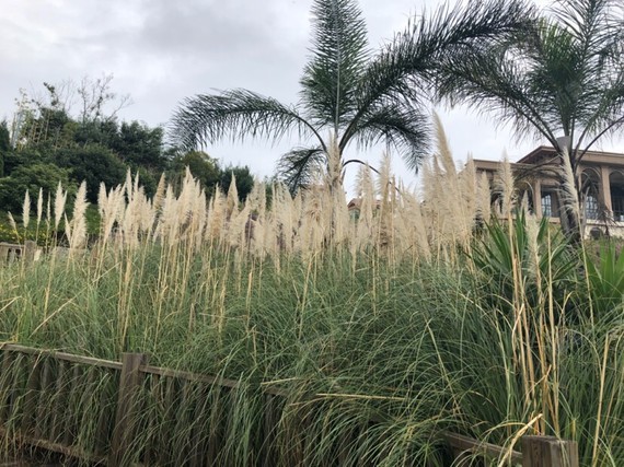 我要做辣妈假体隆胸第112天美丽日记-新氧美容