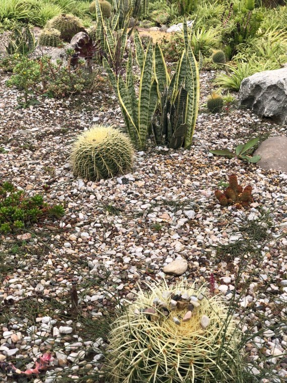 我要做辣妈假体隆胸第112天美丽日记-新氧美容