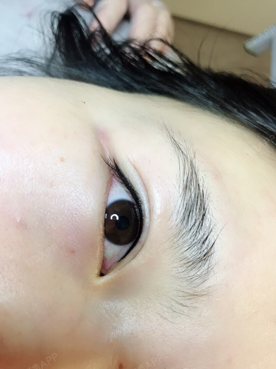上海同城 | 半永久睫毛线 | 半永久妆 | 半永久美瞳线 | 半永久眼线