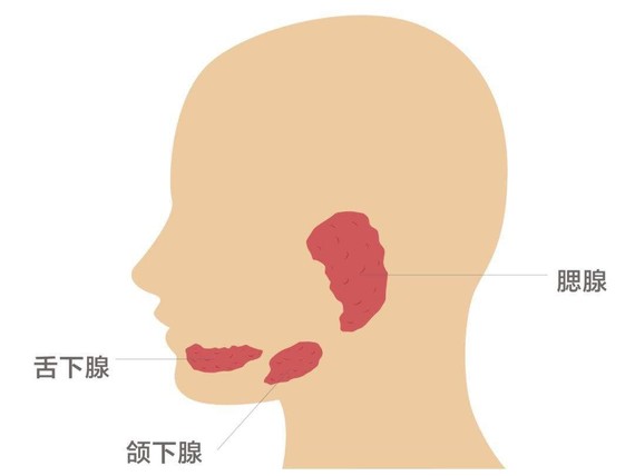 注射除皱瘦脸