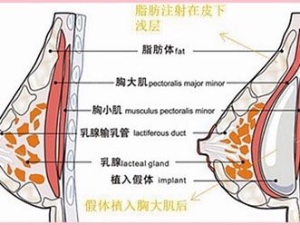 别人看不到的大小胸心塞塞只有自己知道.