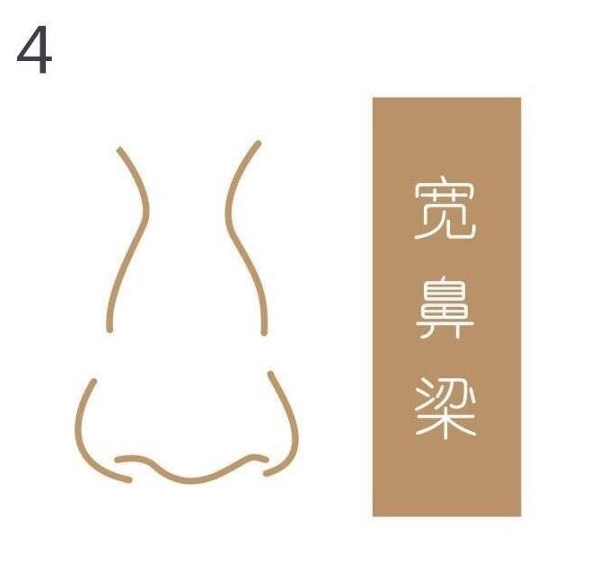 常见的几种鼻部形态平实鼻:厚实,宽阔,鼻翼,鼻头宽