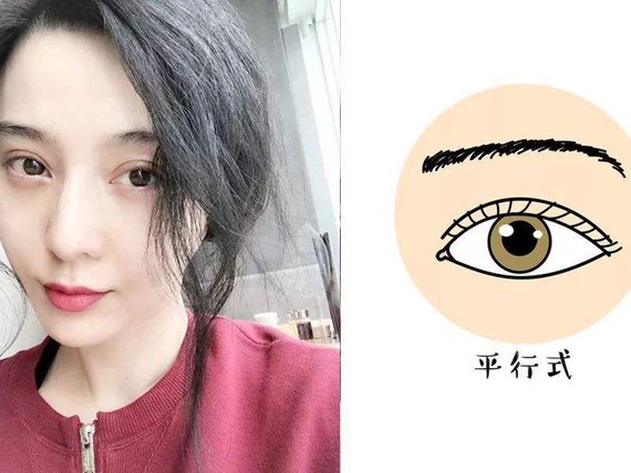 这些整容范本眼睛你知道它们的学名吗71