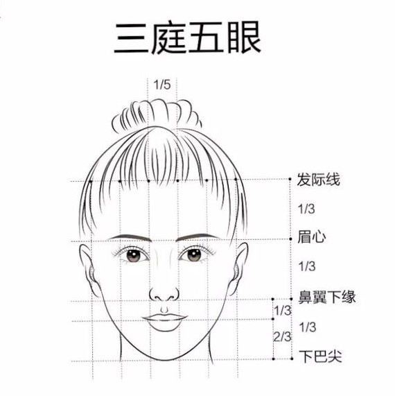 标准美人脸除了三庭五眼,还有四高7315三95低,快来看_圈子-新氧