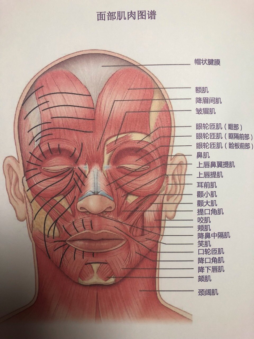 【瘦脸针大科普】为什么打瘦脸针后口角出现歪斜了?