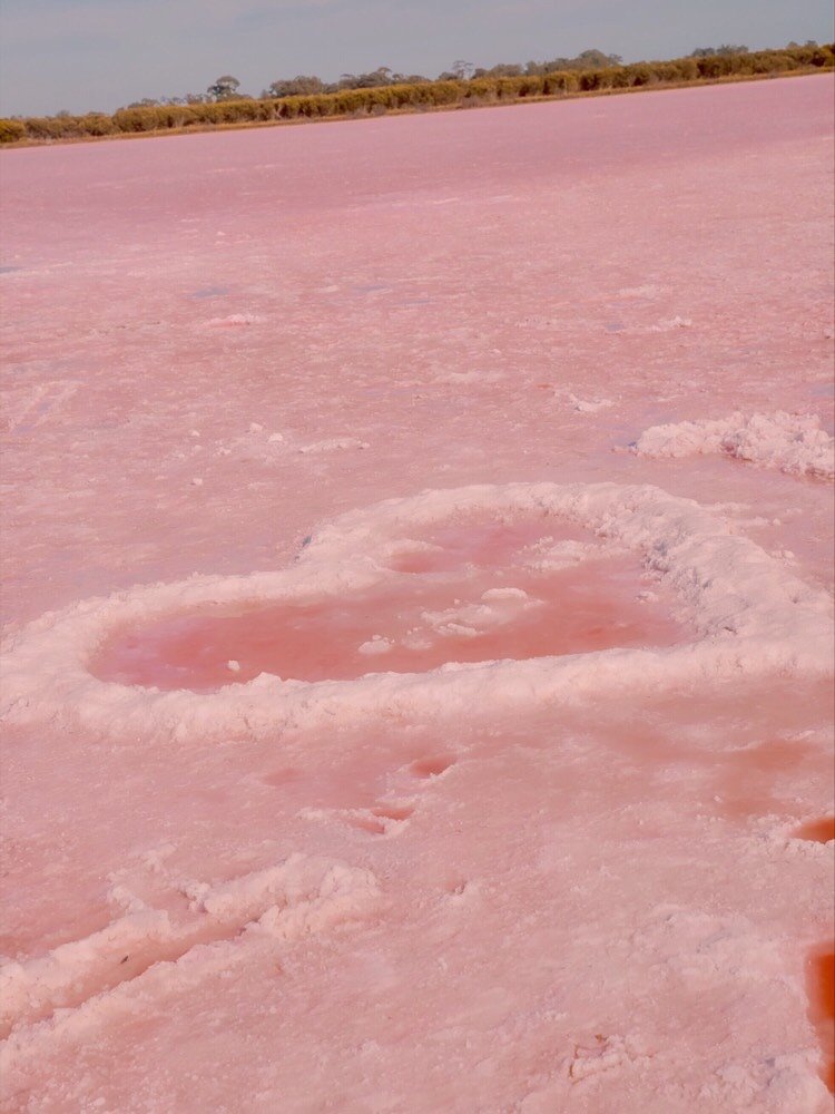 pink lake少女心爆炸的粉色盐湖·澳大利亚