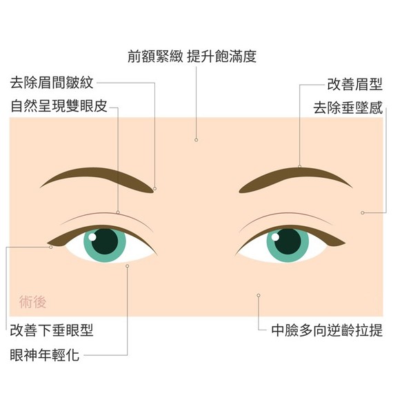 眉眼间距标准量法