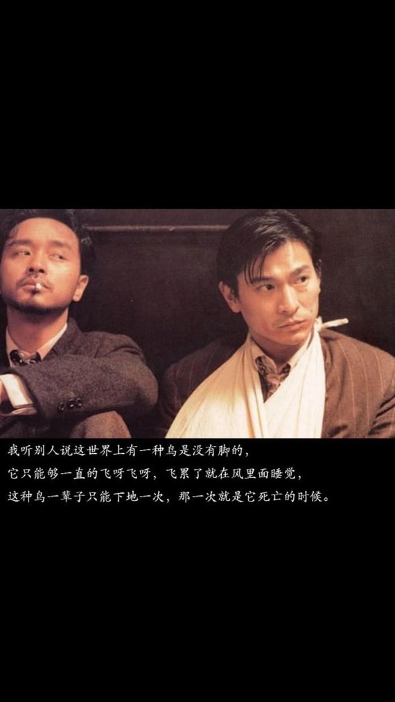 阿飞正传