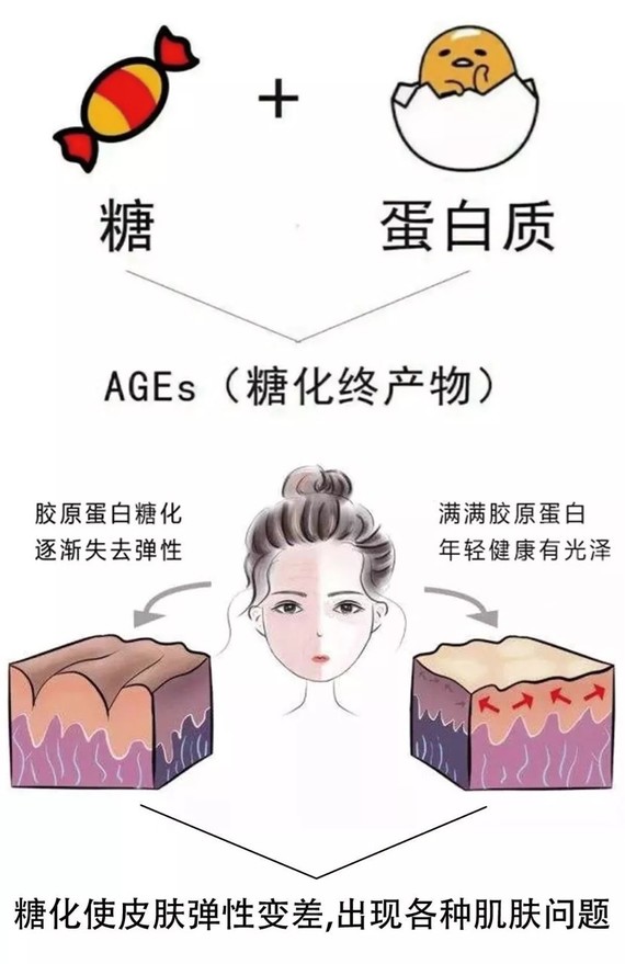 抗糖