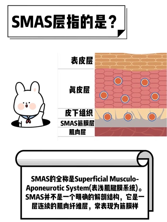 最近正时兴的smas筋膜全脸提升,到底有多神奇