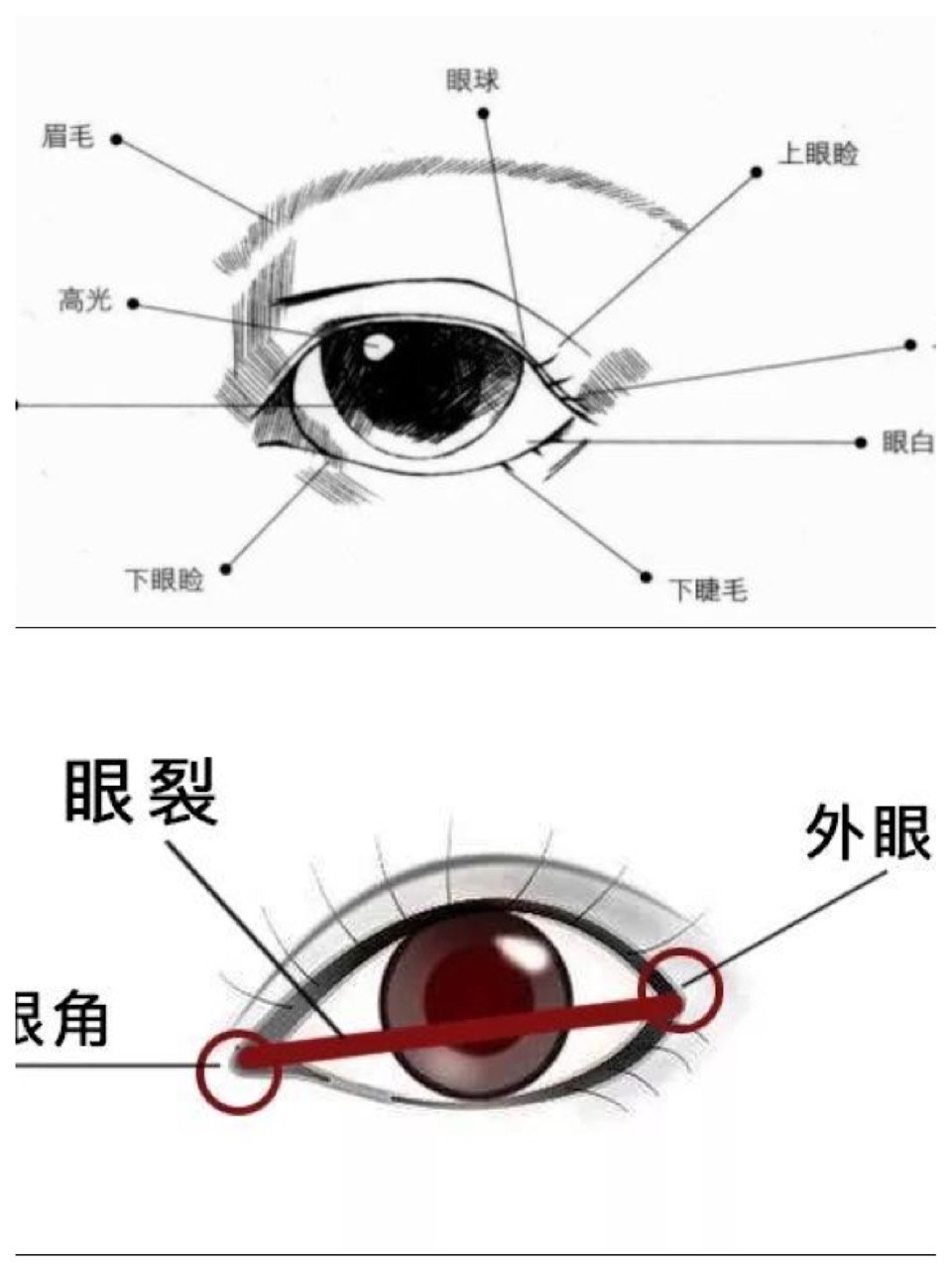 几种漂亮的眼型测一测你是属于哪一种呢