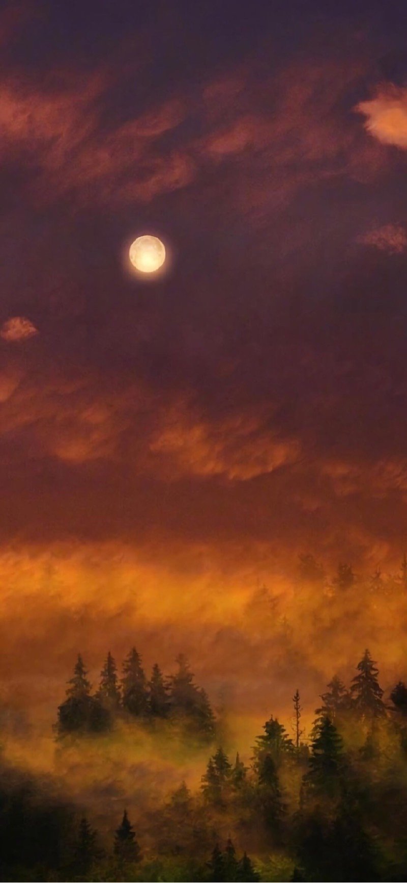 这个晚霞仿佛狼人要出没.