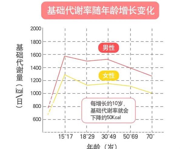 我们都知道【基础代谢率】是决定热量消耗的关键;但是