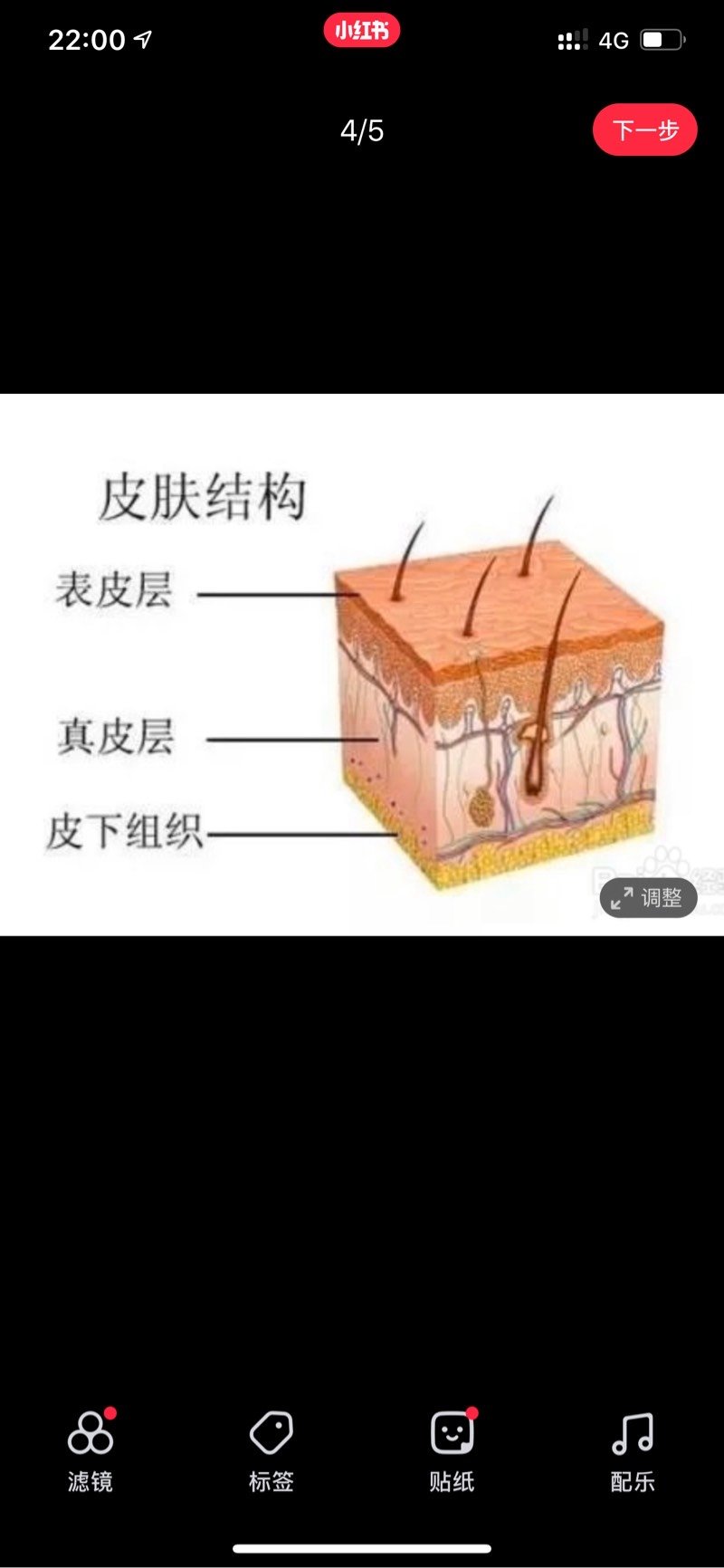 6d小脸针 虽然脸很小可还是抵不过对轮廓线的喜爱.