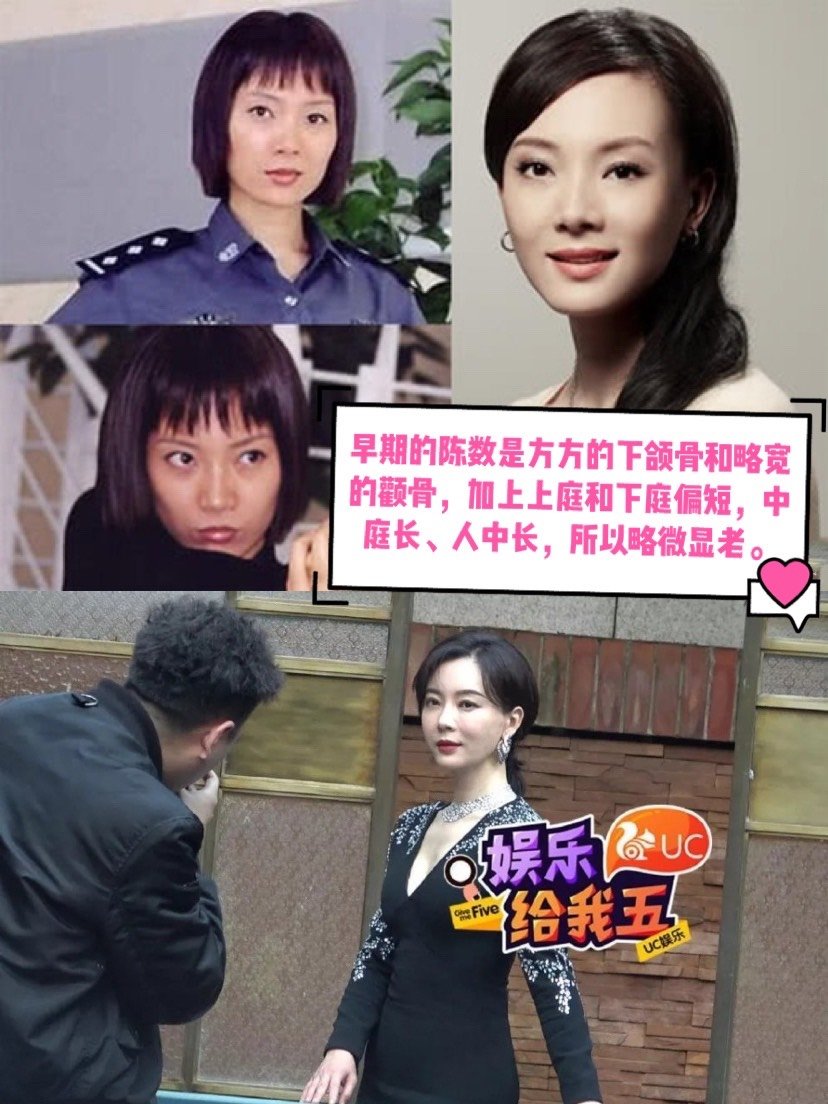 陈数怎么填成霍思燕了